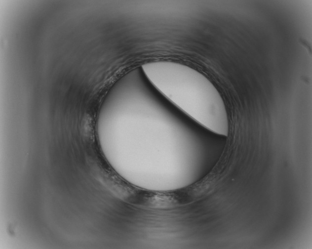 X0000102500270200808080951