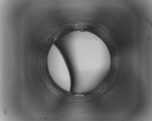 X0000102500271200808080951