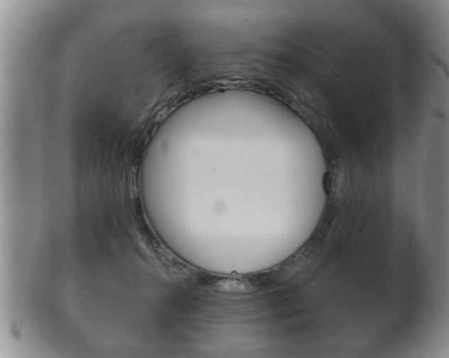 X0000102500272200808080951