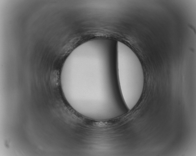 X0000102500273200808080951