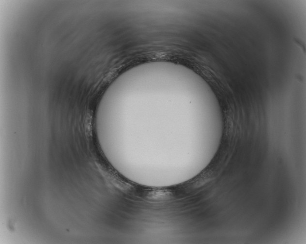 X0000102500274200808080951