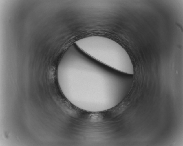 X0000102500275200808080951