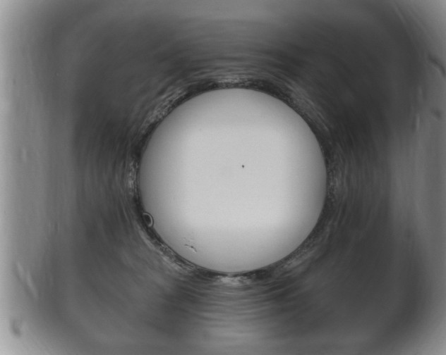 X0000102500277200808080951