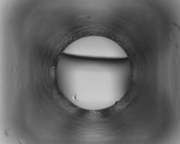 X0000102500278200808080951