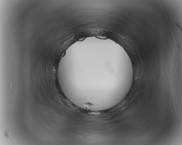 X0000102500279200808080951