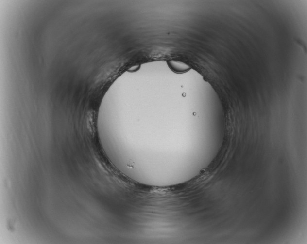 X0000102500280200808080951