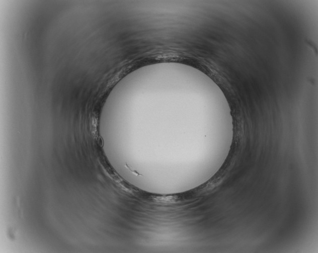 X0000102500281200808080951