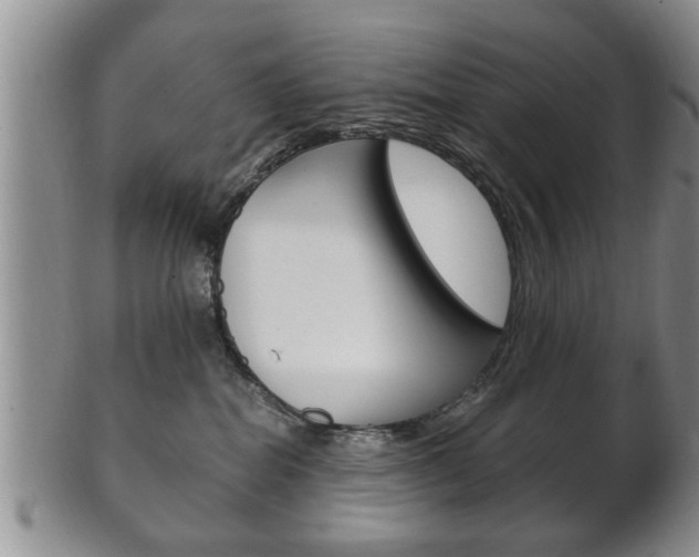 X0000102500282200808080951