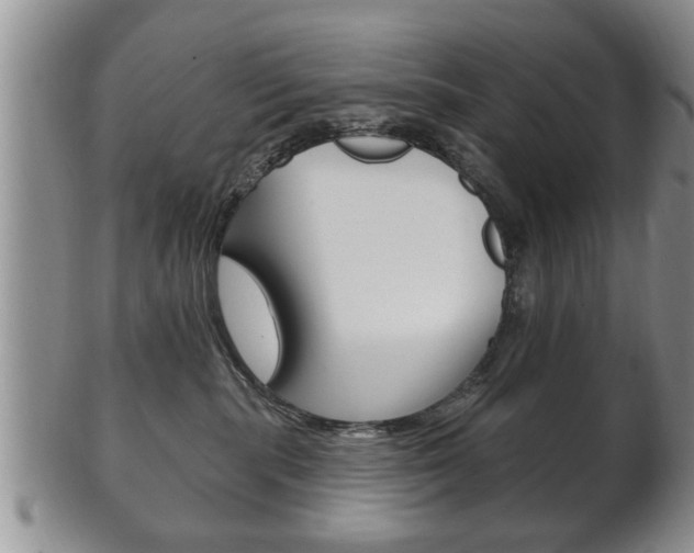 X0000102500283200808080951