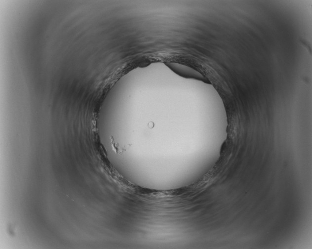X0000102500284200808080951