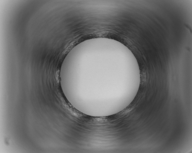 X0000102500286200808080951