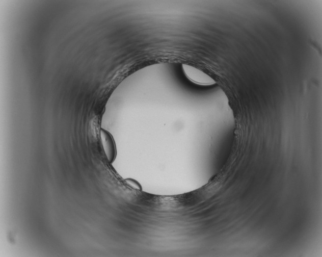 X0000102500287200808080951