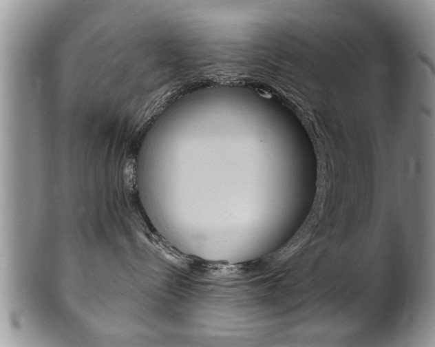 X0000102500288200808080951