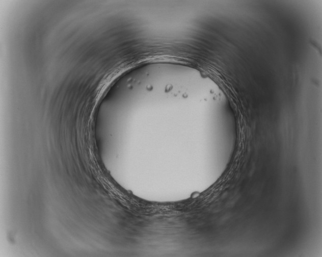X0000102500289200808080951
