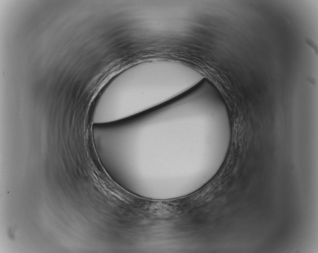 X0000102500290200808080951