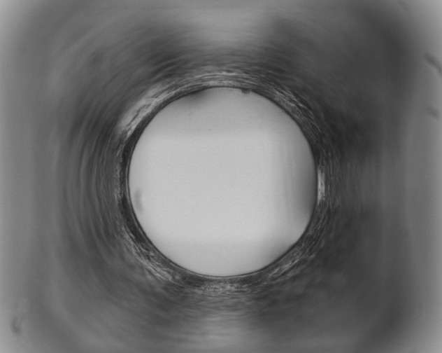 X0000102500291200808080951