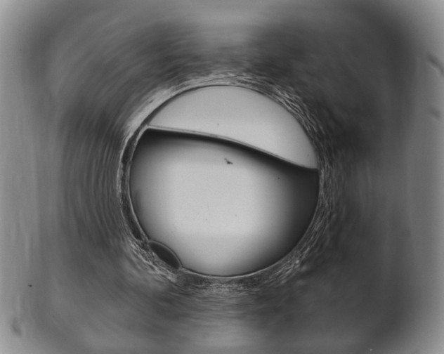 X0000102500292200808080951