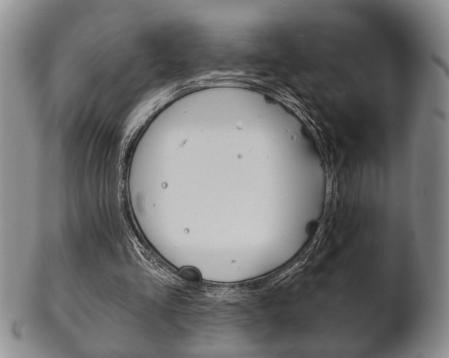 X0000102500293200808080951