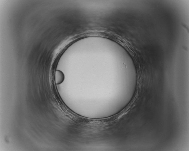 X0000102500294200808080951