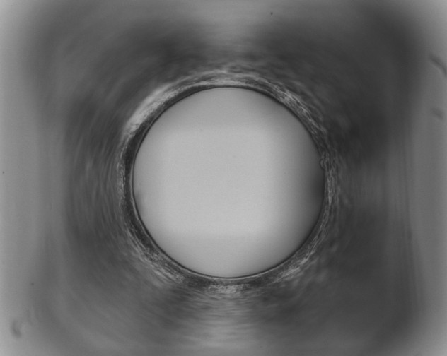 X0000102500295200808080951