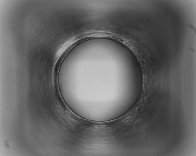 X0000102500296200808080951