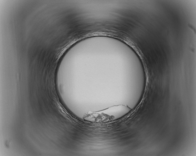 X0000102500297200808080951