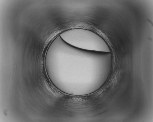 X0000102500298200808080951
