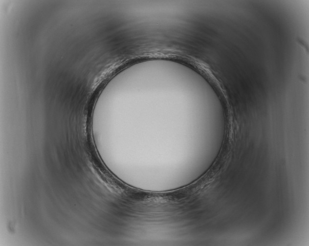 X0000102500299200808080951