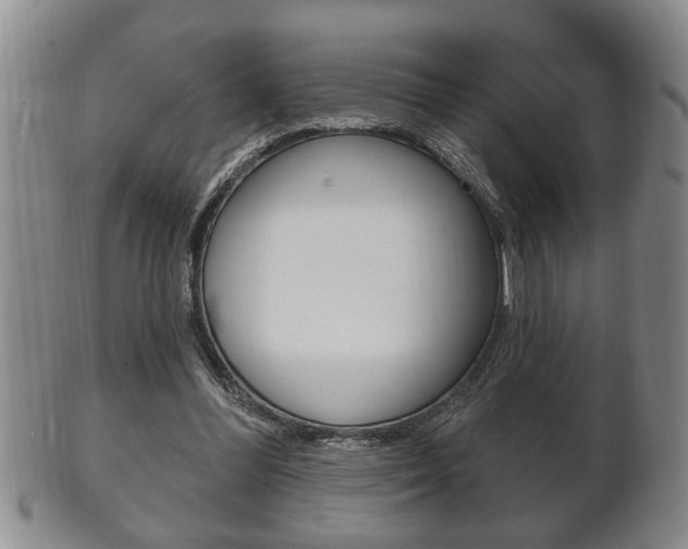 X0000102500300200808080951