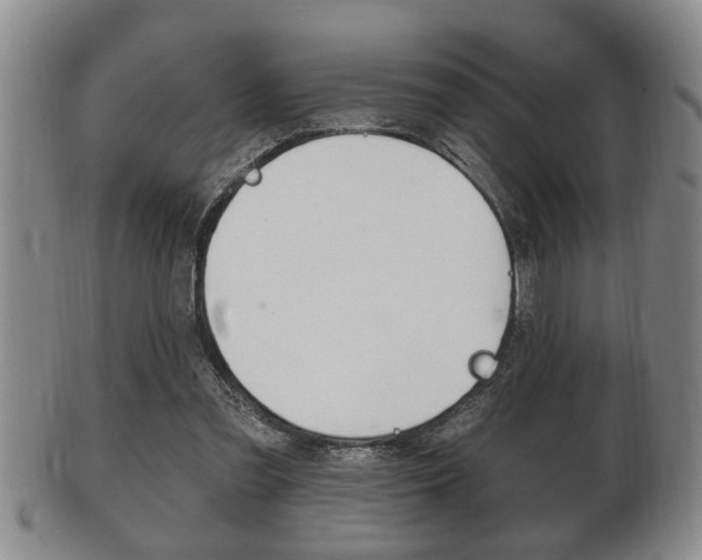 X0000102500301200808080951