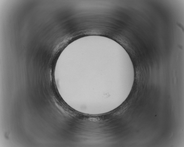 X0000102500302200808080951