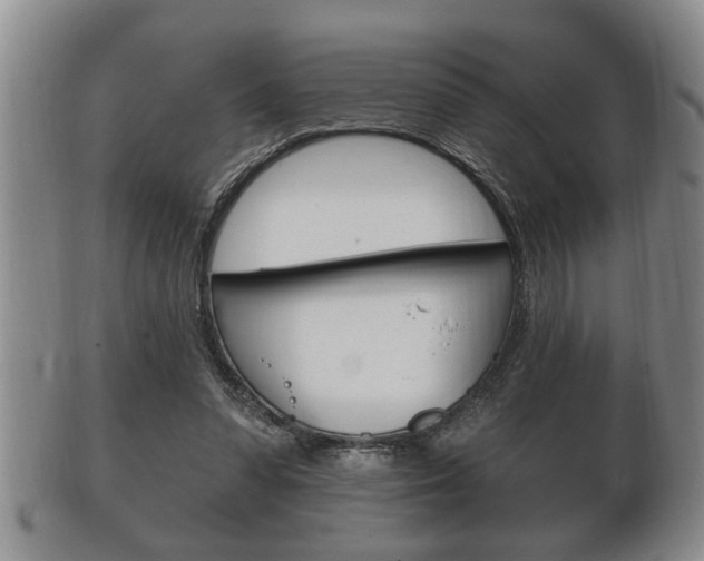 X0000102500303200808080951