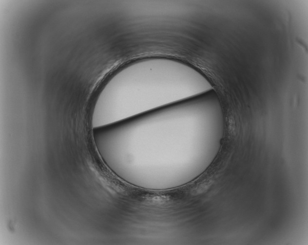 X0000102500304200808080951