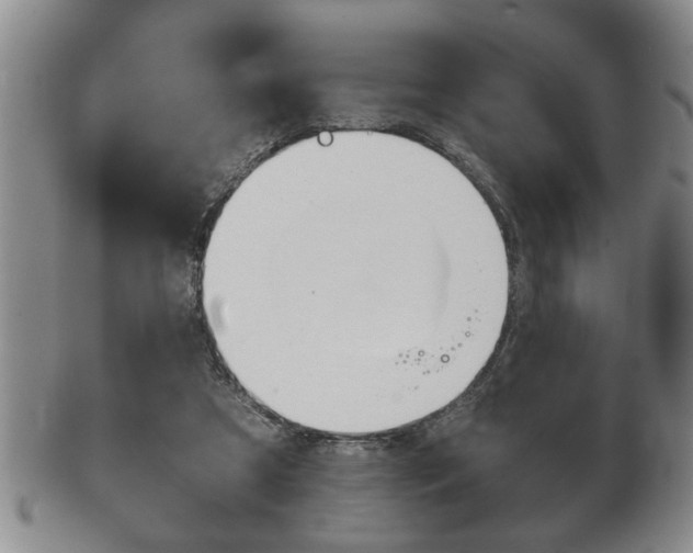 X0000102500305200808080951