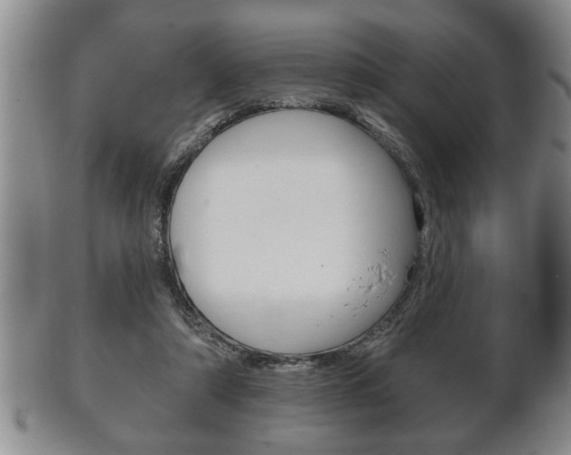 X0000102500306200808080951