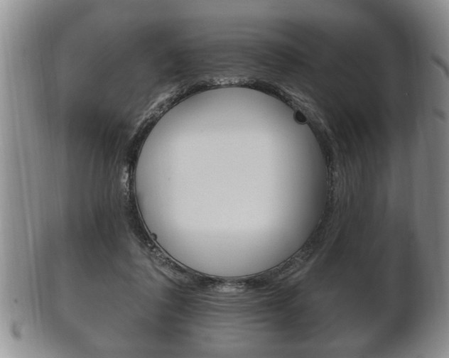 X0000102500308200808080950
