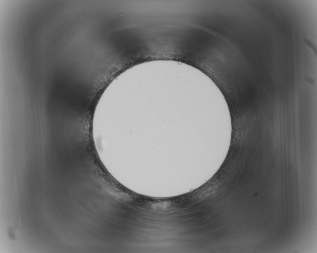 X0000102500309200808080950
