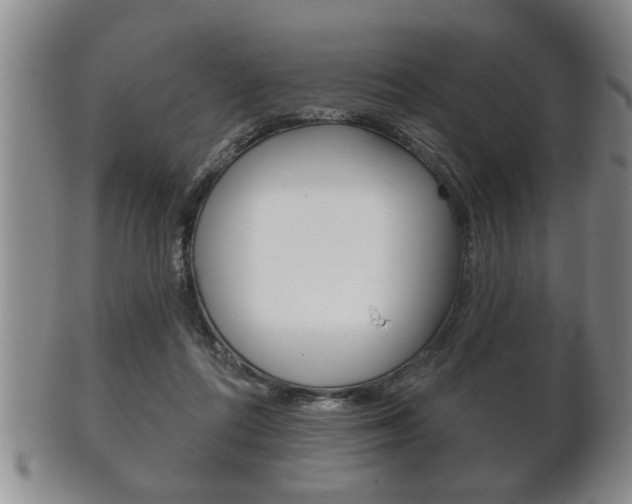X0000102500312200808080950