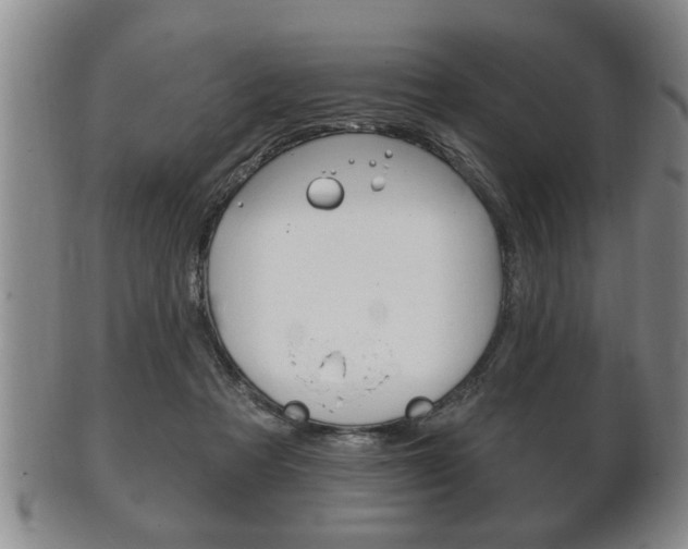 X0000102500313200808080950