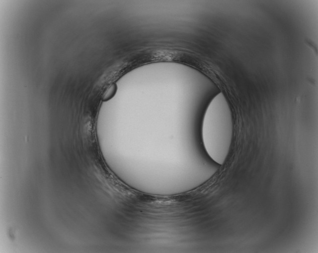 X0000102500314200808080950