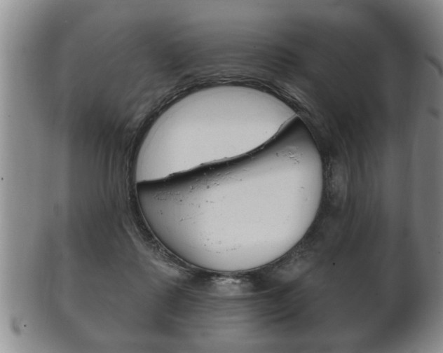 X0000102500315200808080950