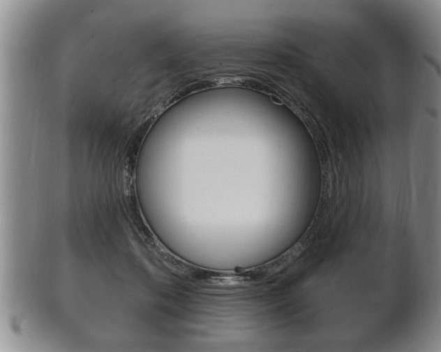 X0000102500316200808080950