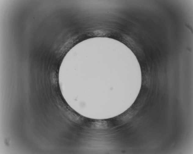 X0000102500317200808080950