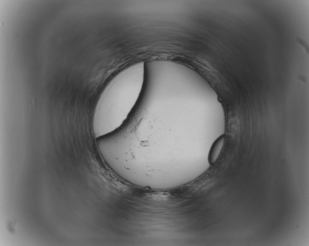 X0000102500318200808080950