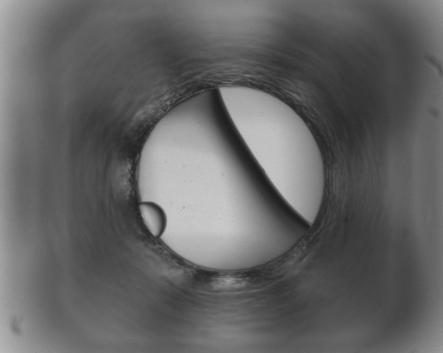 X0000102500319200808080950