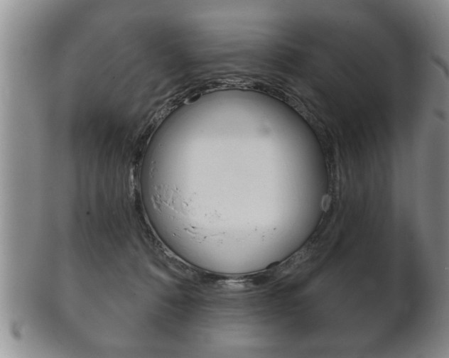 X0000102500320200808080950