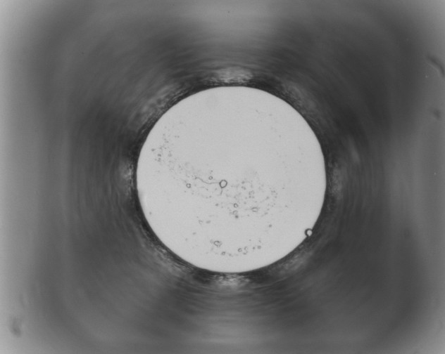 X0000102500321200808080950