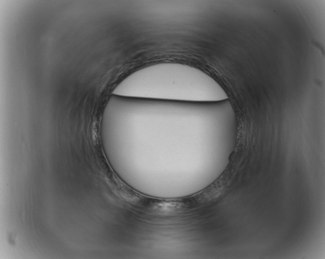X0000102500323200808080950