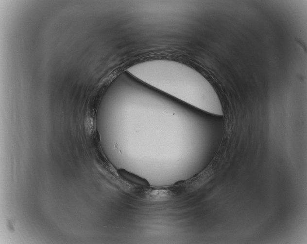 X0000102500324200808080950