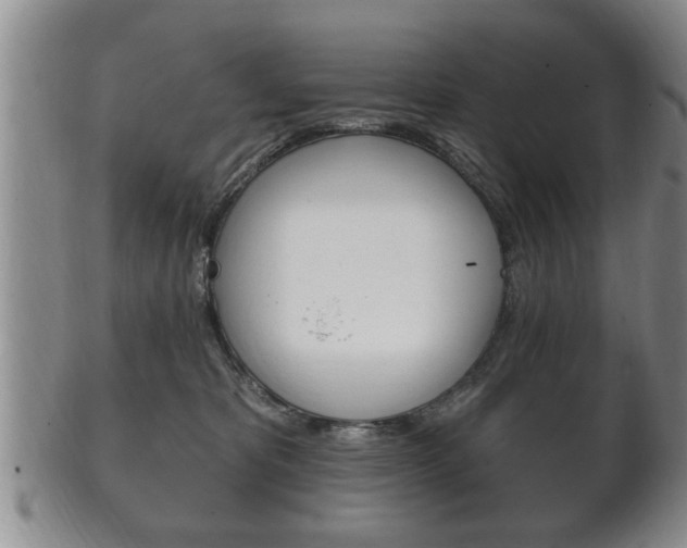 X0000102500325200808080950